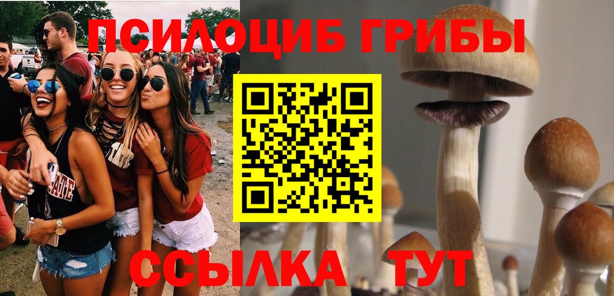 Псилоцибиновые грибы мицелий  Псилоцибиновые грибы MAGIC MUSHROOMS  Полысаево  Вход с VPN 